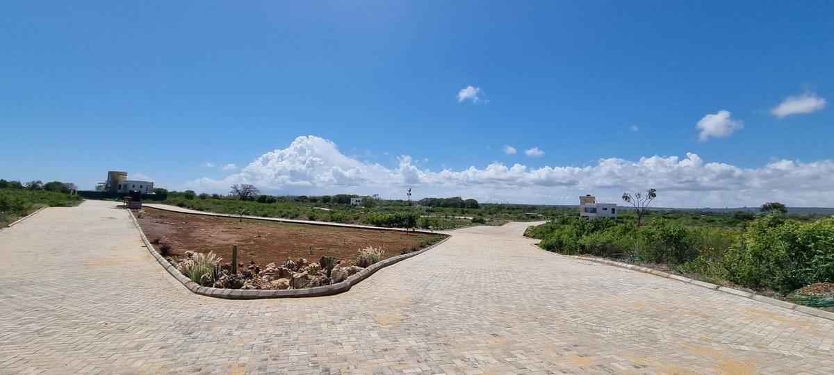 Land at Vipingo - 18