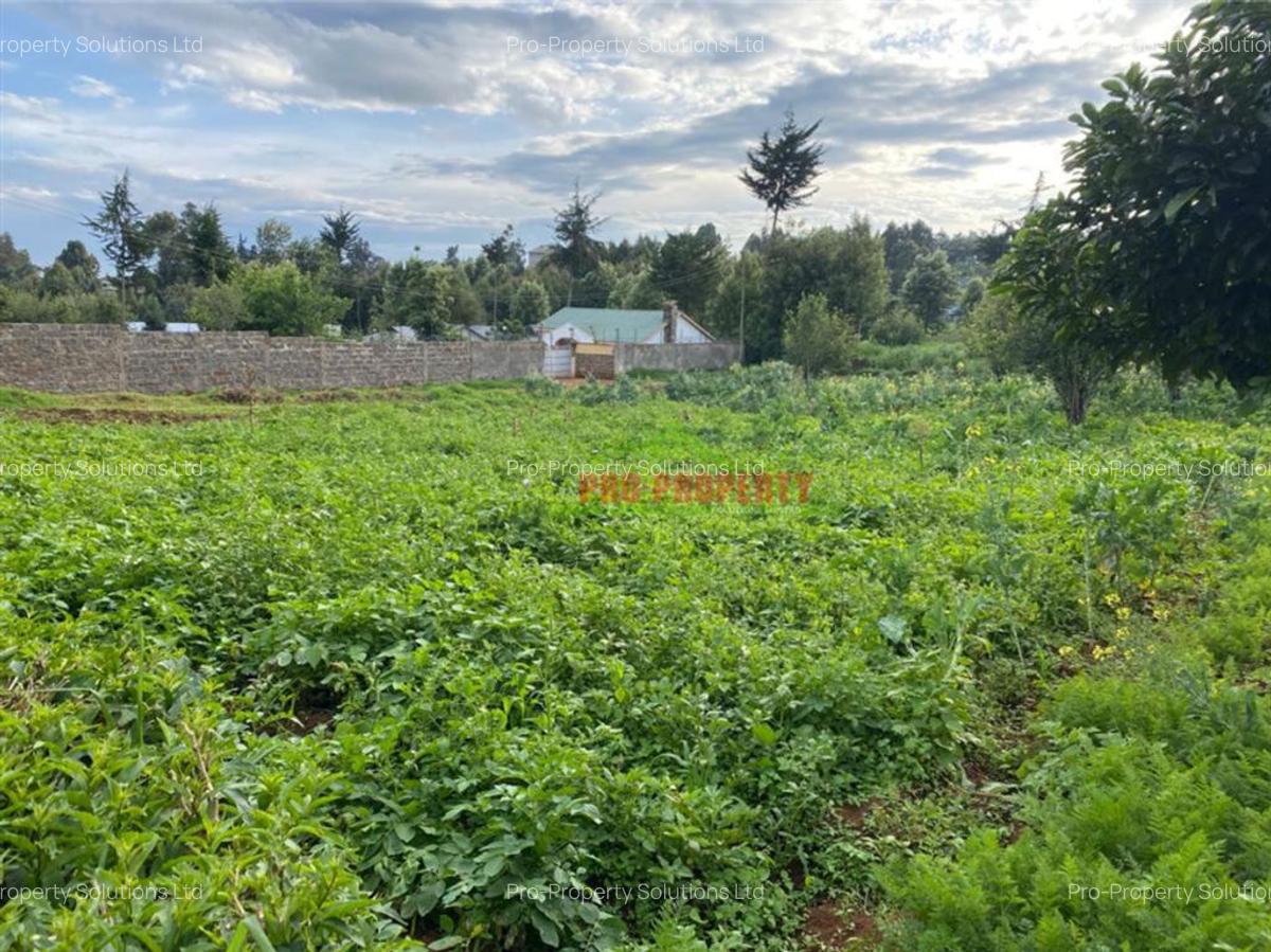 4,000 m² Land in Limuru - 1