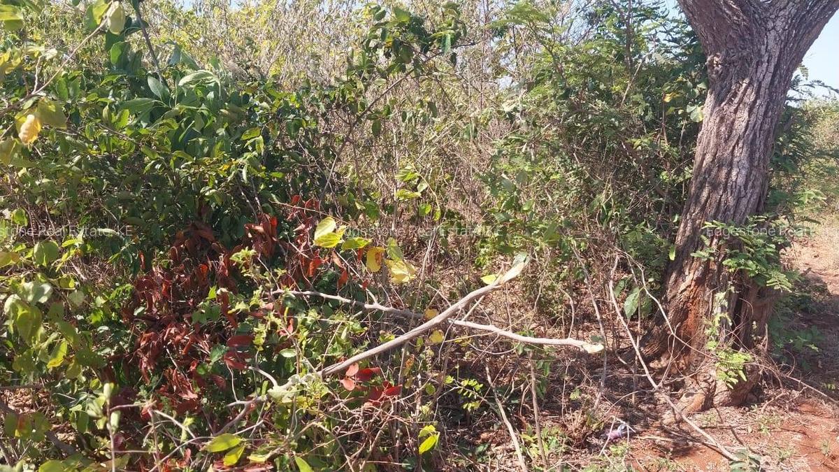 Land in Kilifi - 3