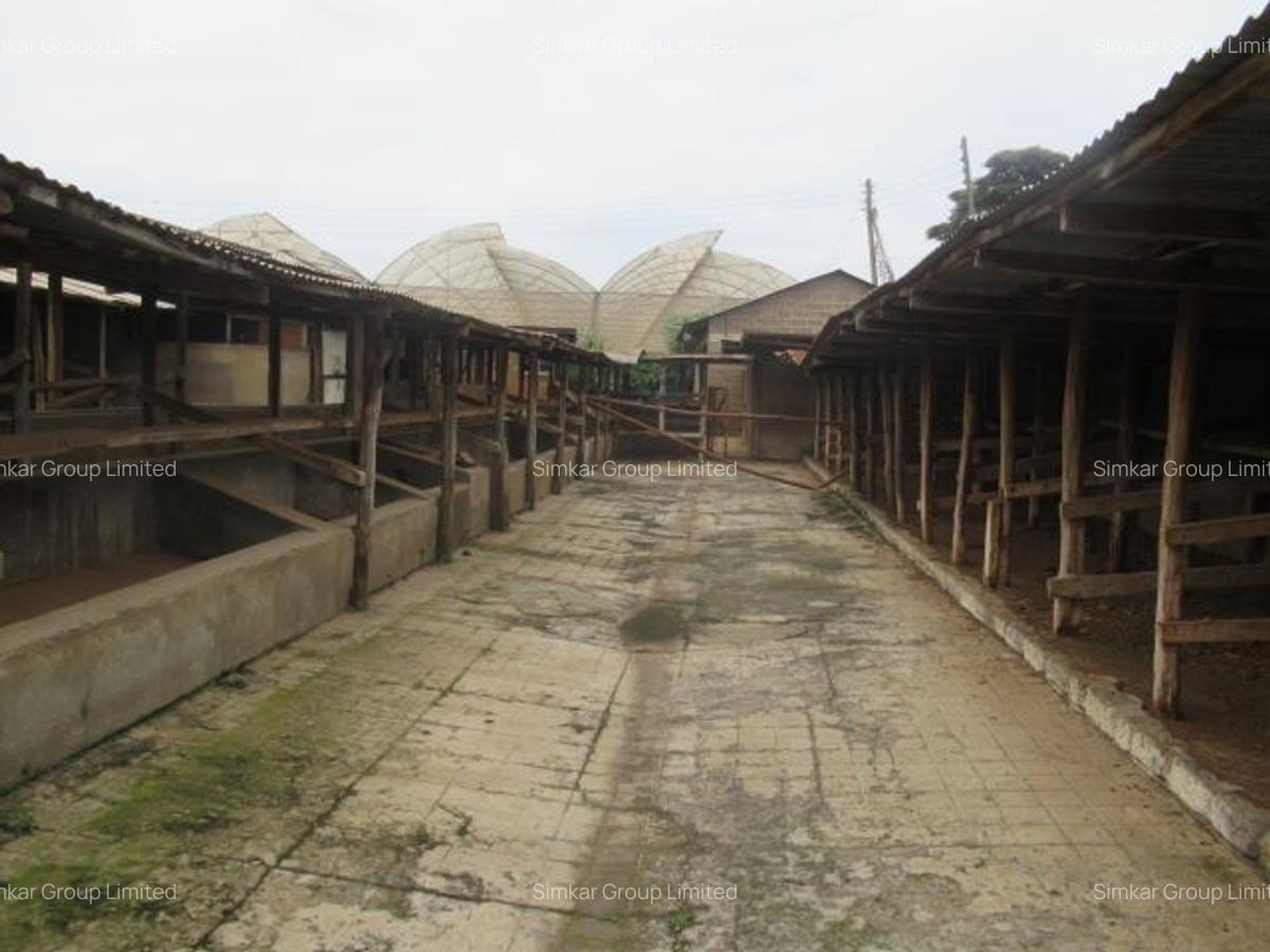 Land at Red Hill - 17