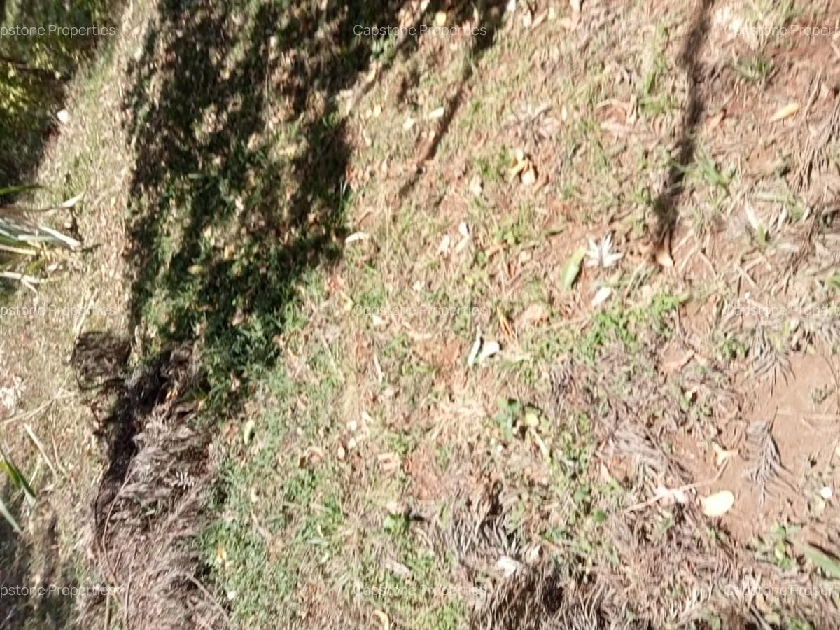 Residential Land in Kyuna - 12