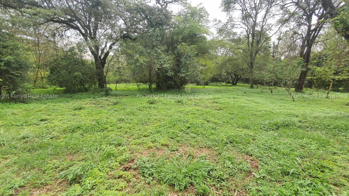 5 ac Land at Miotoni - 4