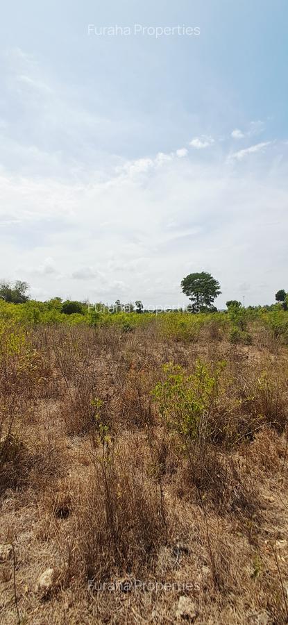 Land at Vipingo - 17