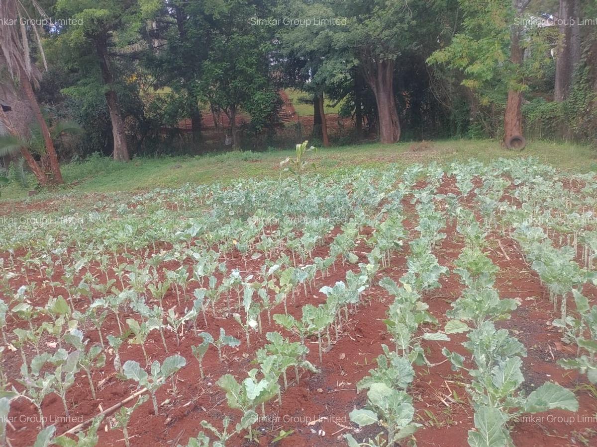 Land at Kyuna Estate - 5