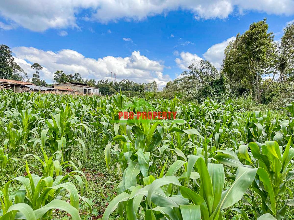 7.5 ac Land in Kikuyu Town - 12