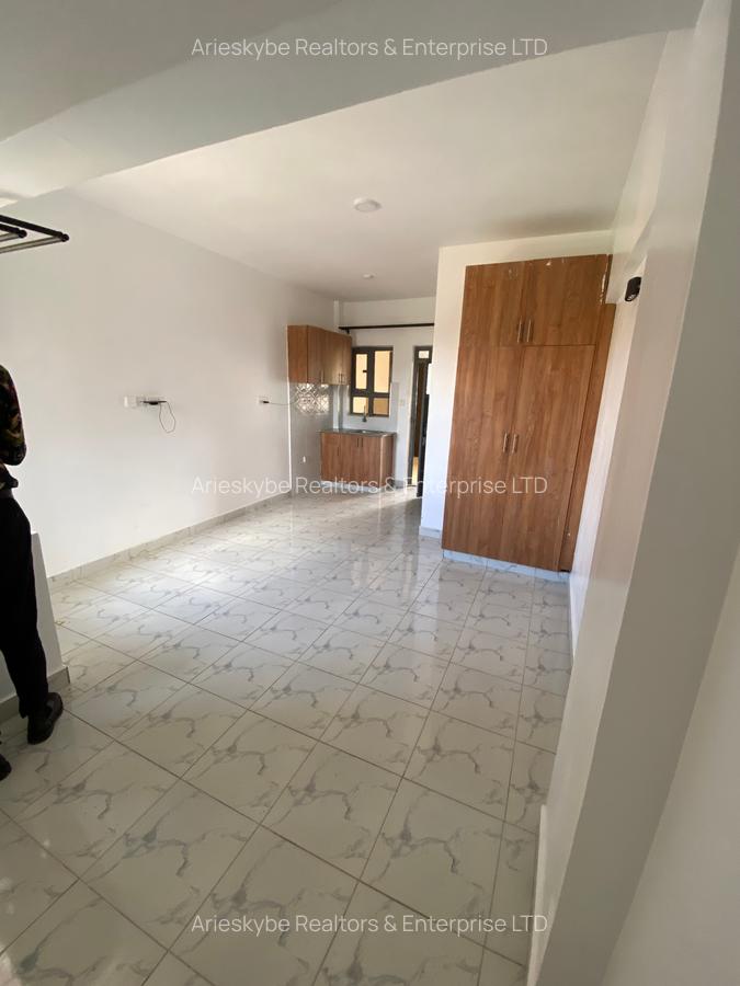 Studio Apartment with En Suite in Membley - 3