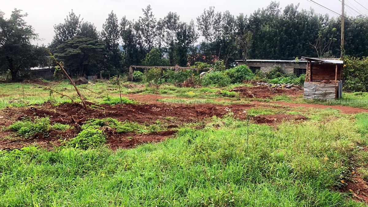 Land in Thindigua - 1