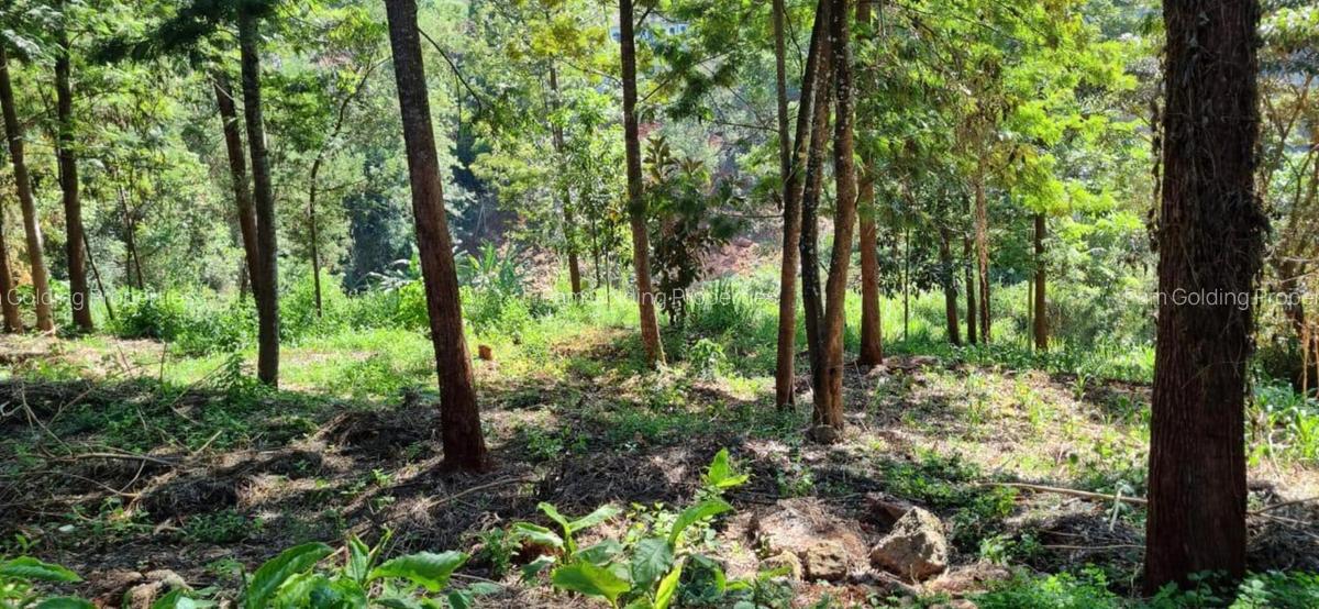 0.5 ac Land at Kirawa Road - 1