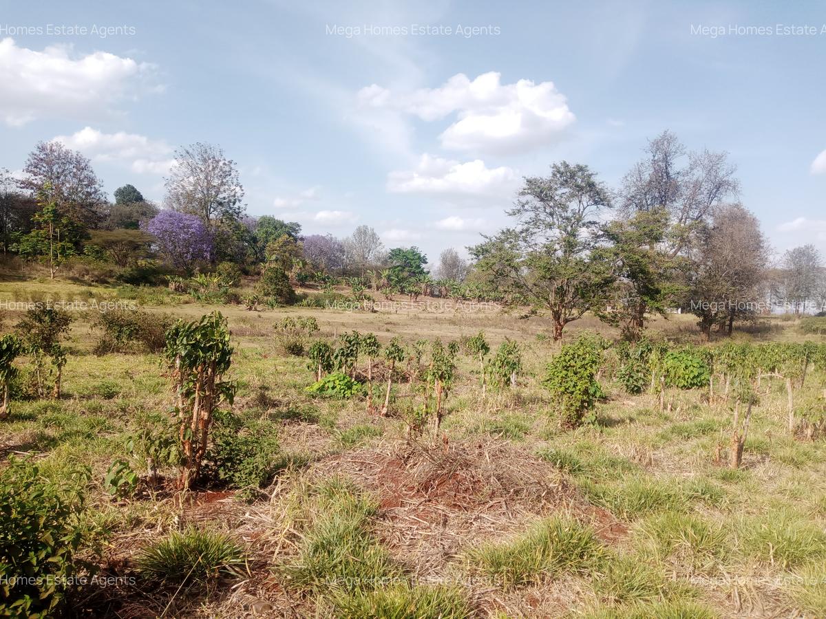 90 ac Land at Limuru - 1