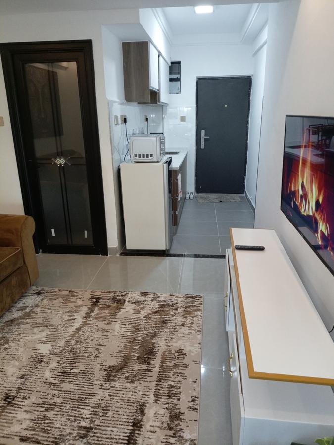 Serviced Studio Apartment with En Suite at Gitanga Rd - 10