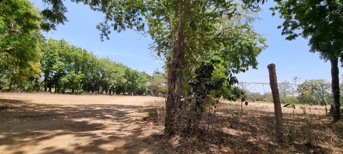 75 ac Land at Vipingo - 13