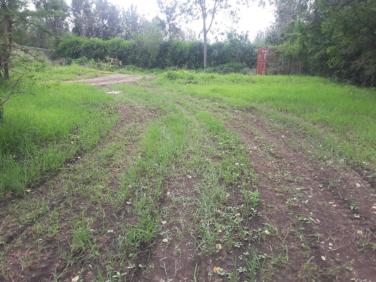 0.25 m² Land in Ongata Rongai - 14