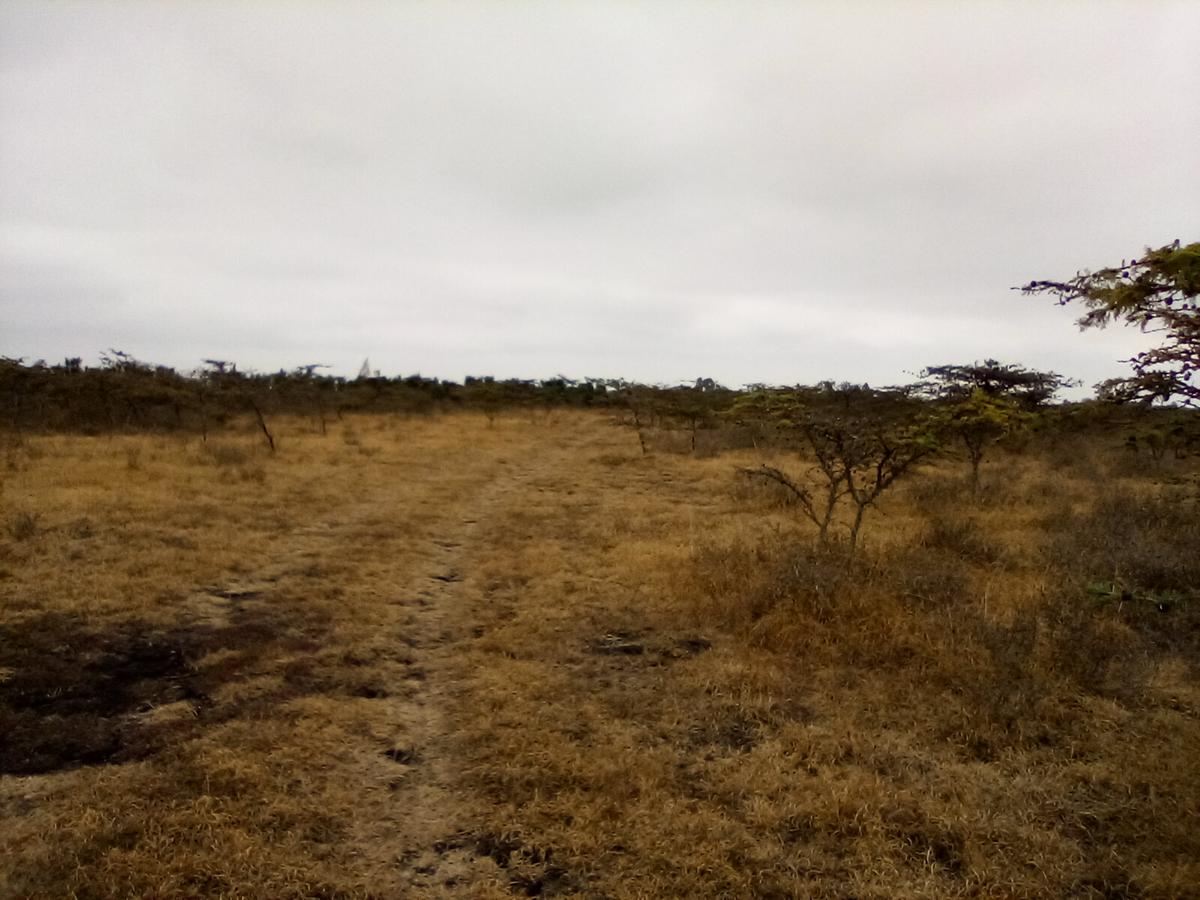 Land in Ongata Rongai - 8