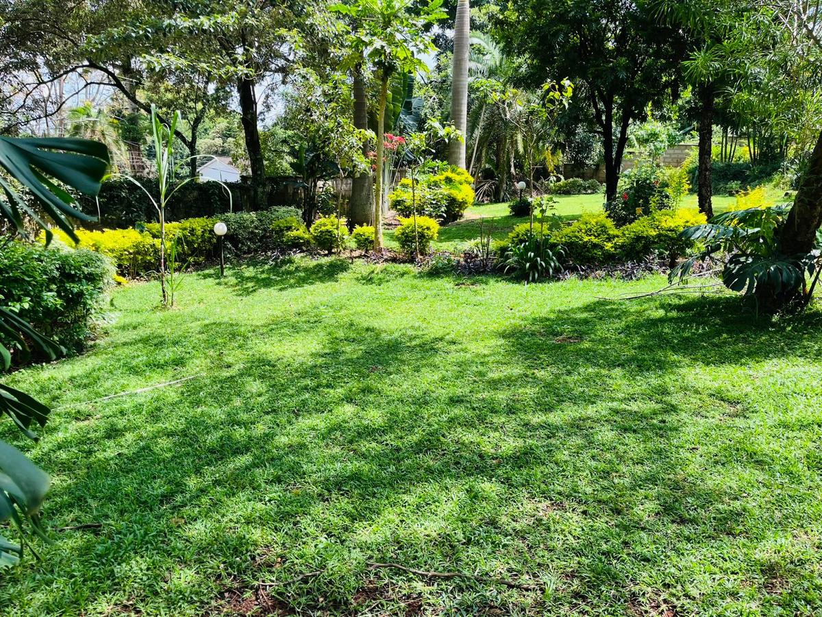 Commercial Property with Garden at Westlands - 2