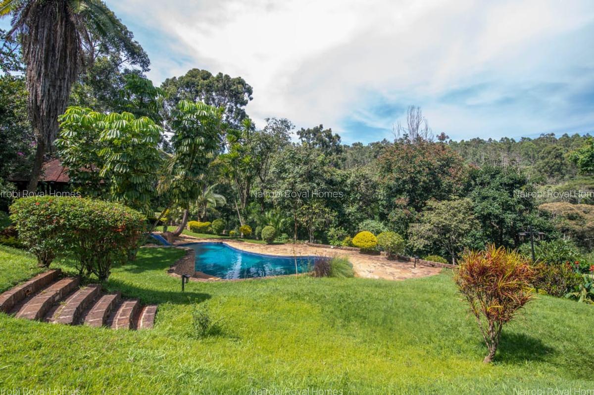 Commercial Property with Backup Generator at Muthaiga Road - 19