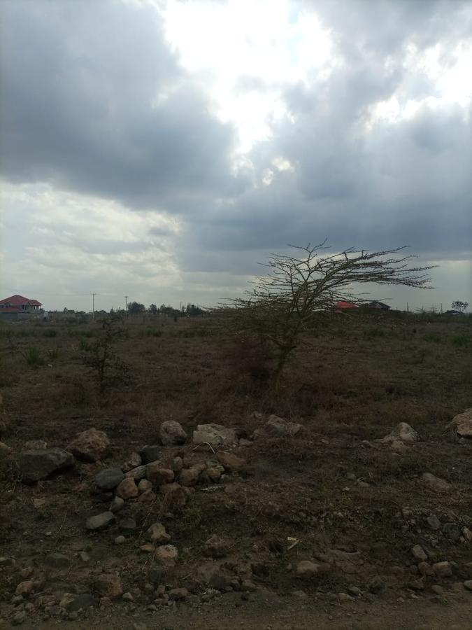 0.25 ac Land at Katani - 8