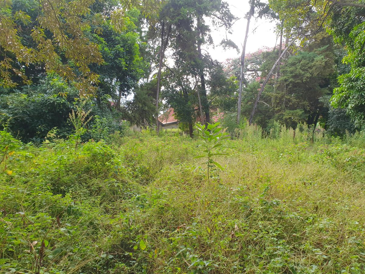 5 ac Land in Runda - 7