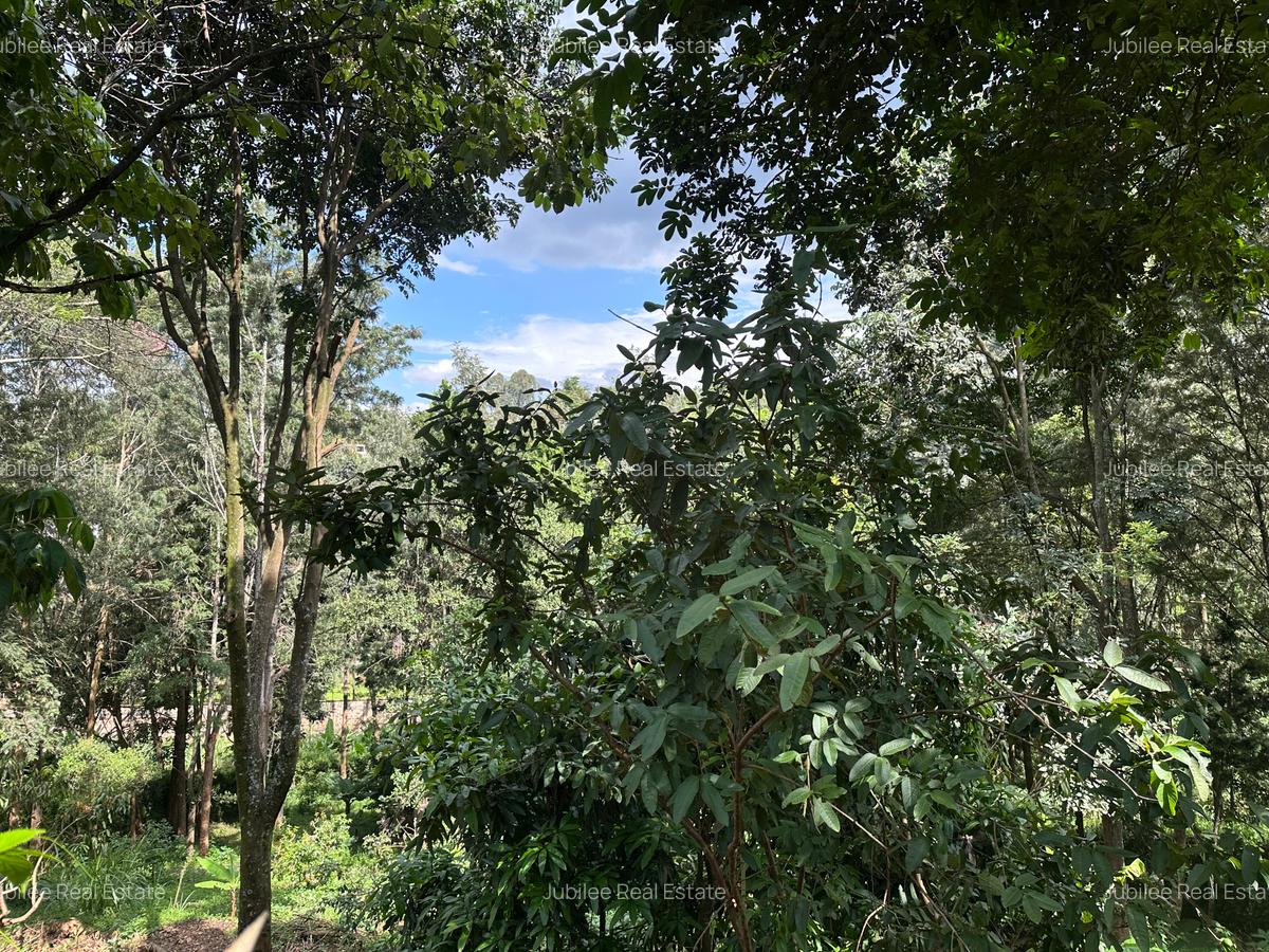 1 ac Land in Nyari - 4