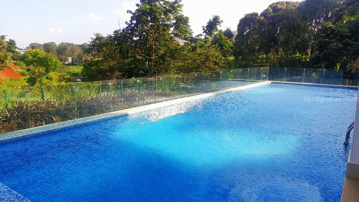 2 Bed Apartment with En Suite in Gigiri - 15