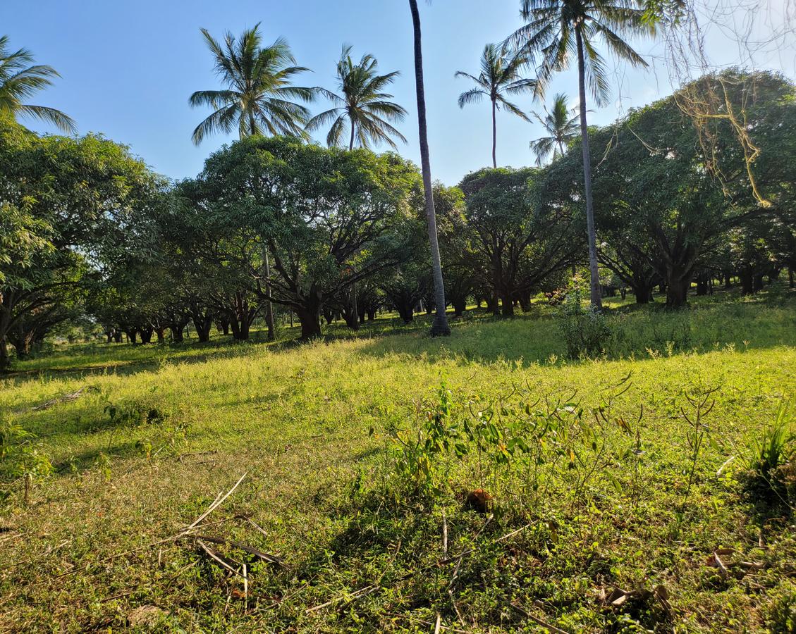 Residential Land in Nyali Area - 13