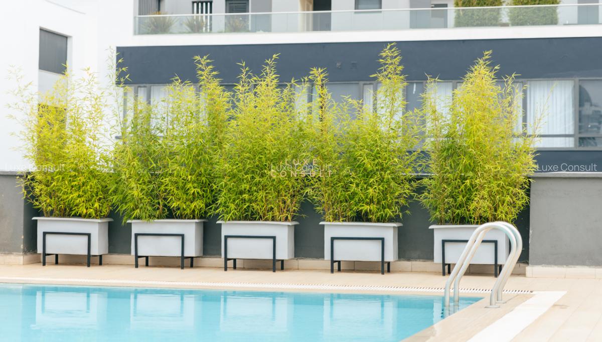 4 Bed Apartment with En Suite in Riverside - 14