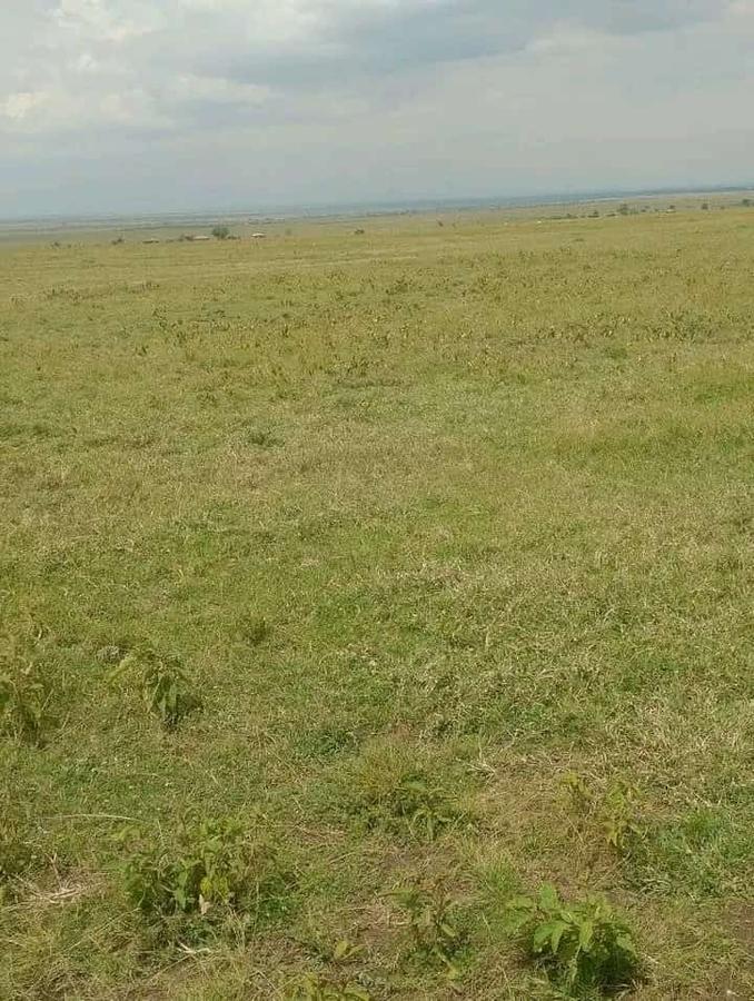 Residential Land in Nanyuki - 6