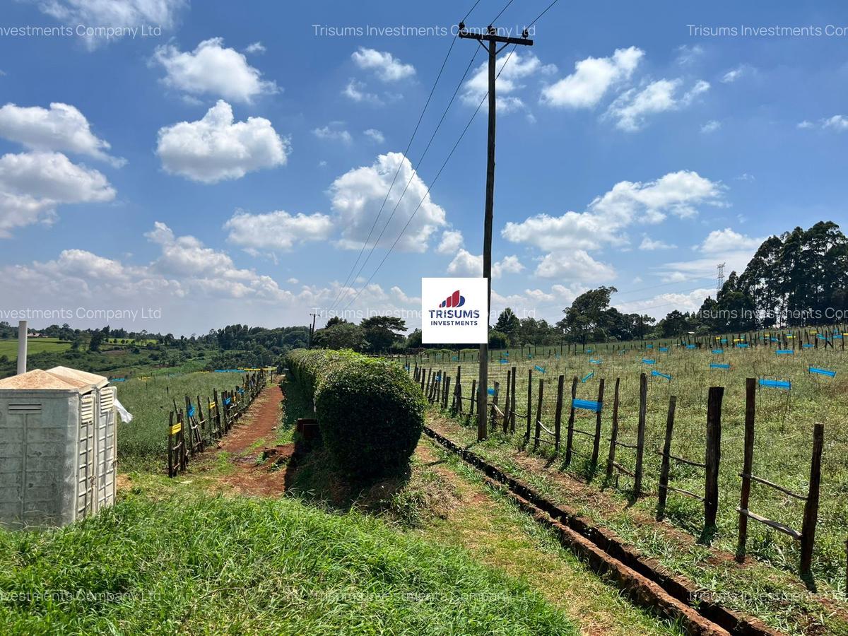 16.5 ac Land in Tigoni - 8