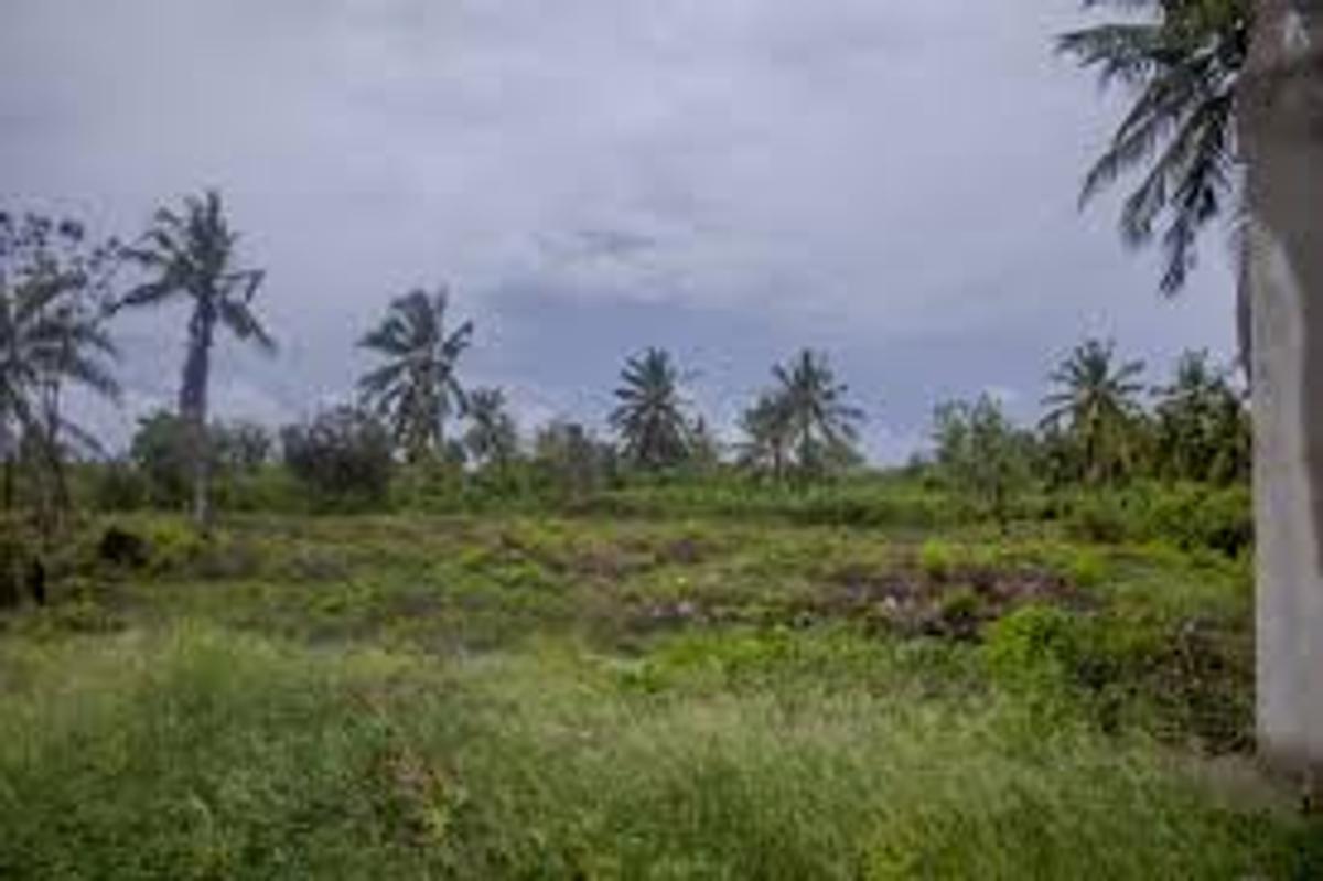 5,000 ac Residential Land in Diani - 12