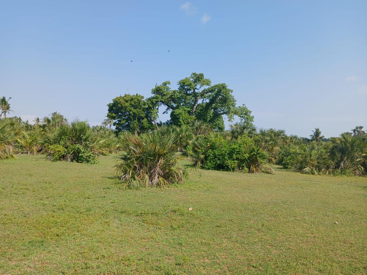 1 ac Land at Leisure Golf