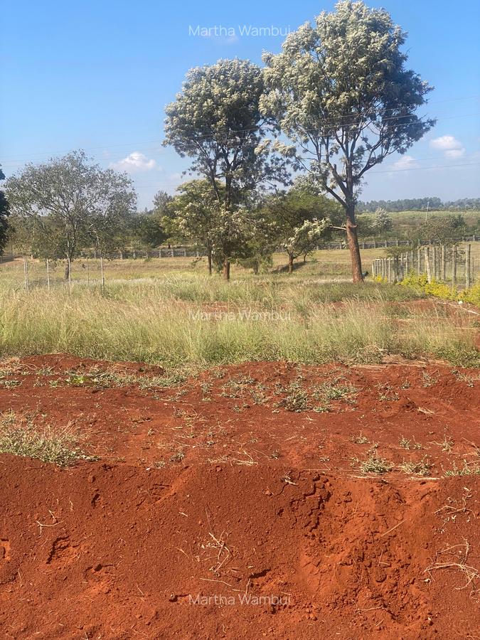 10,000 ft² Residential Land in Kenyatta Road - 4