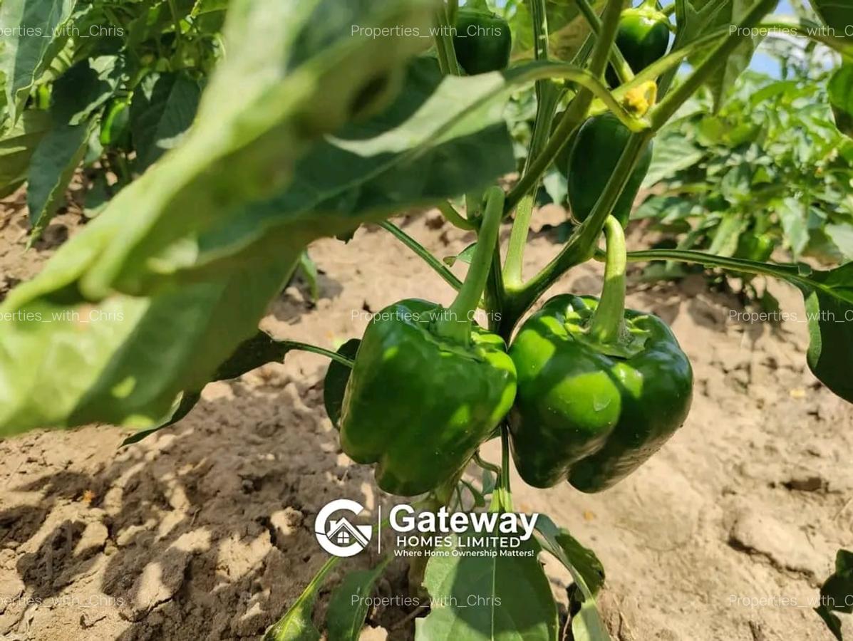 1 ac Land in Malindi - 1