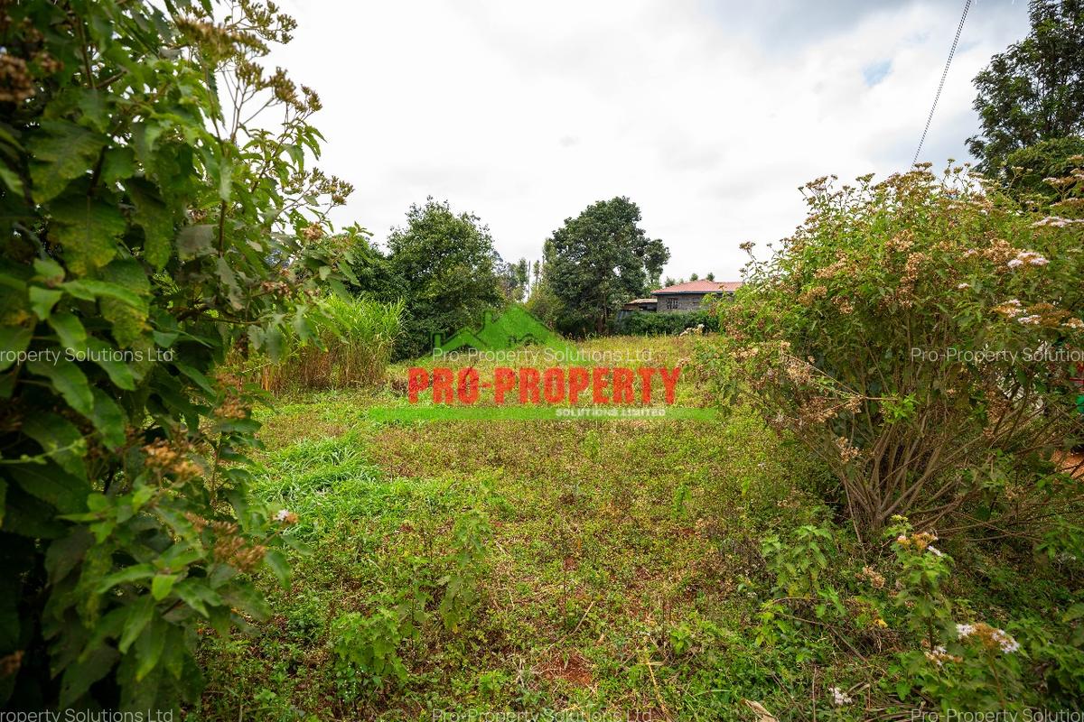 0.1 ha Residential Land in Kikuyu Town - 4