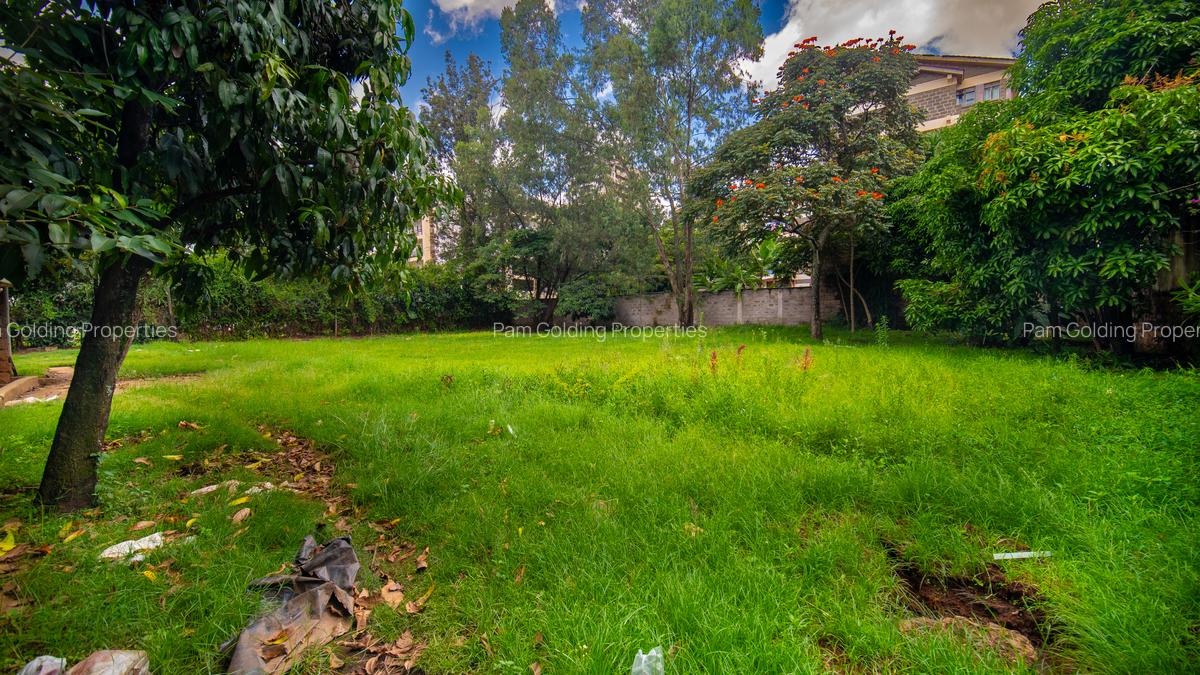0.5 ac Land at General Mathenge Road - 6