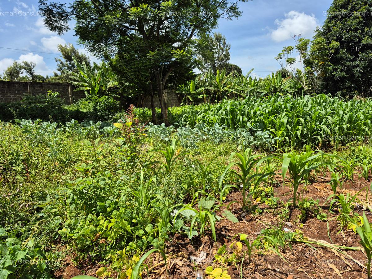 Residential Land in Kitisuru - 6