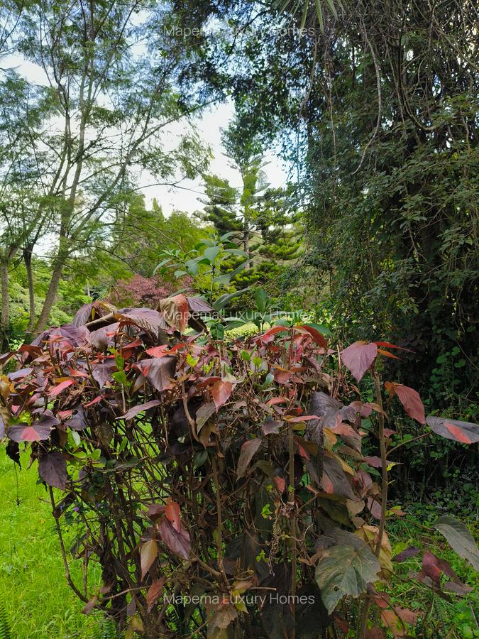 Residential Land at Hardy Area - 5