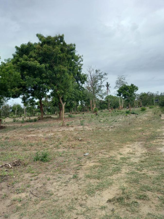 3 ac Residential Land in Kikambala - 6