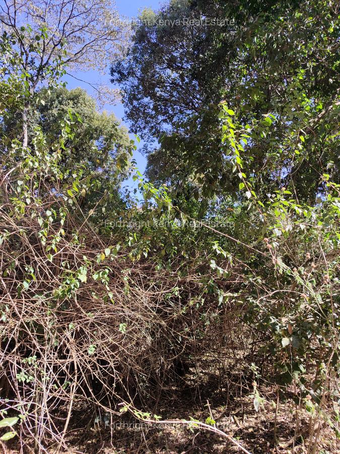 0.5 ac Land at Hardy - 16