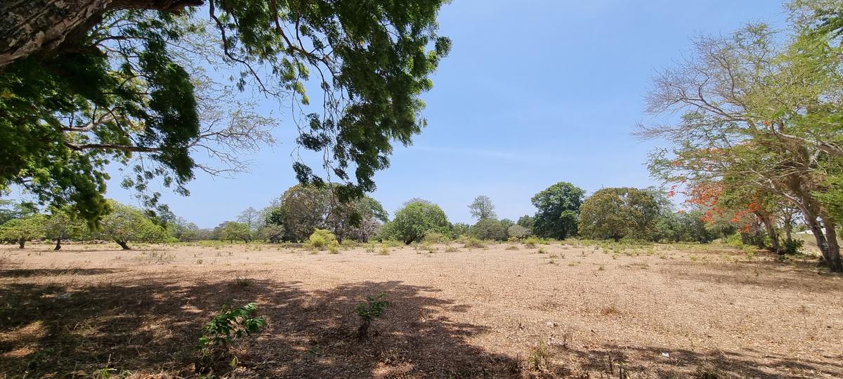 75 ac Land at Vipingo - 7