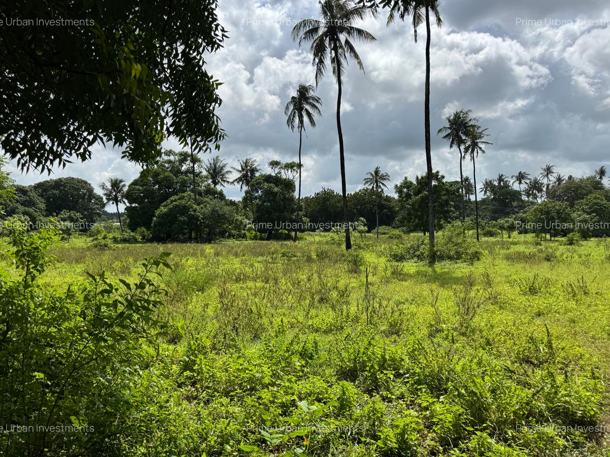Land at Kikambala - Mombasa Malindi Highway - 7