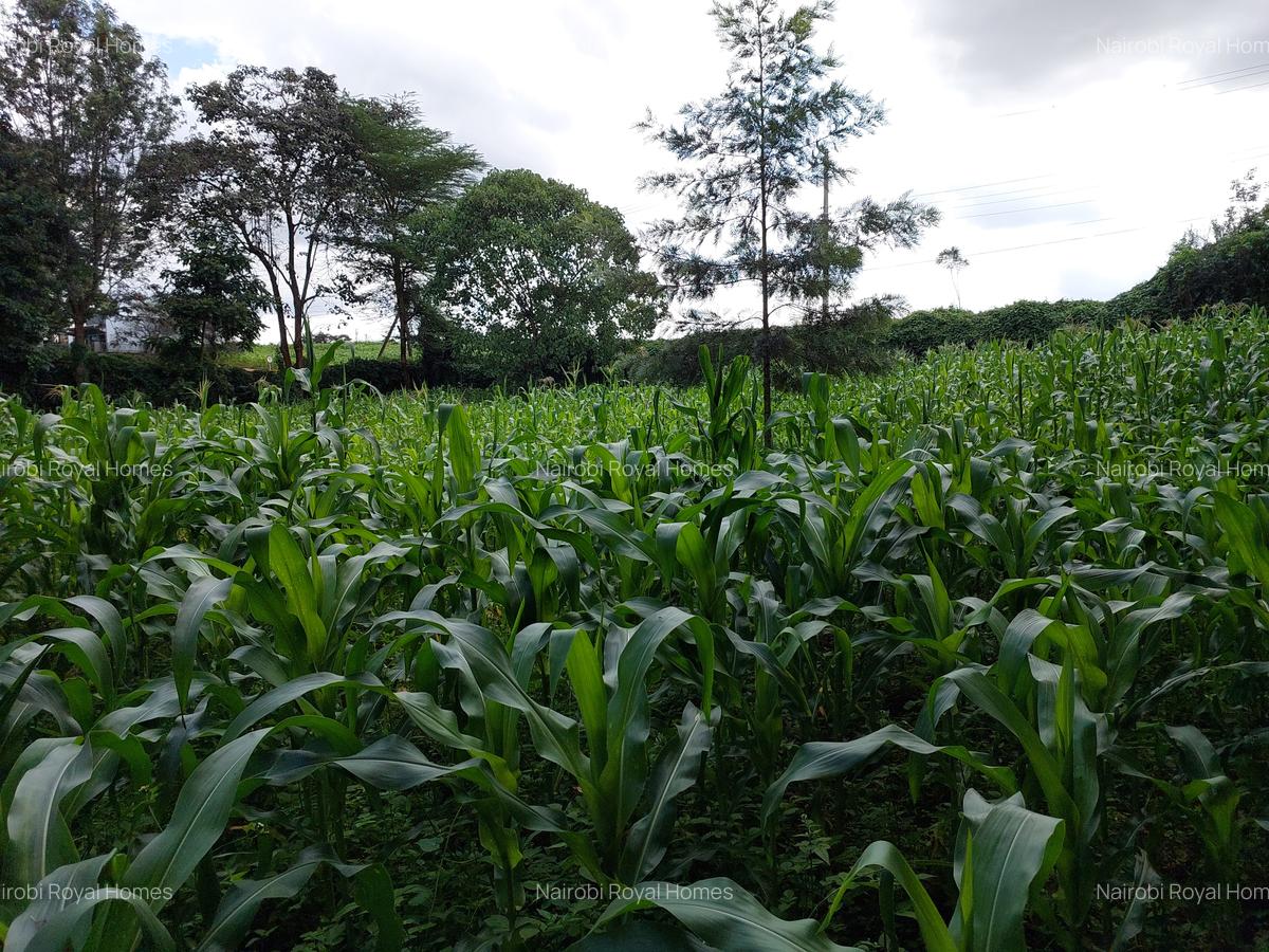 Land at Kirawa Road - 8