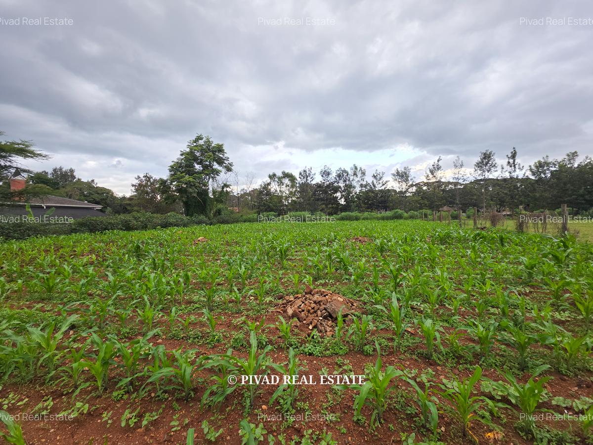 0.5 ac Land in Ridgeways - 6