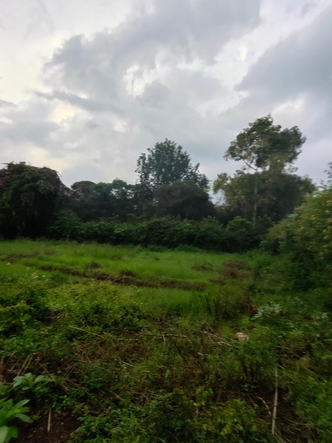 Residential Land at Ndege Road - 17