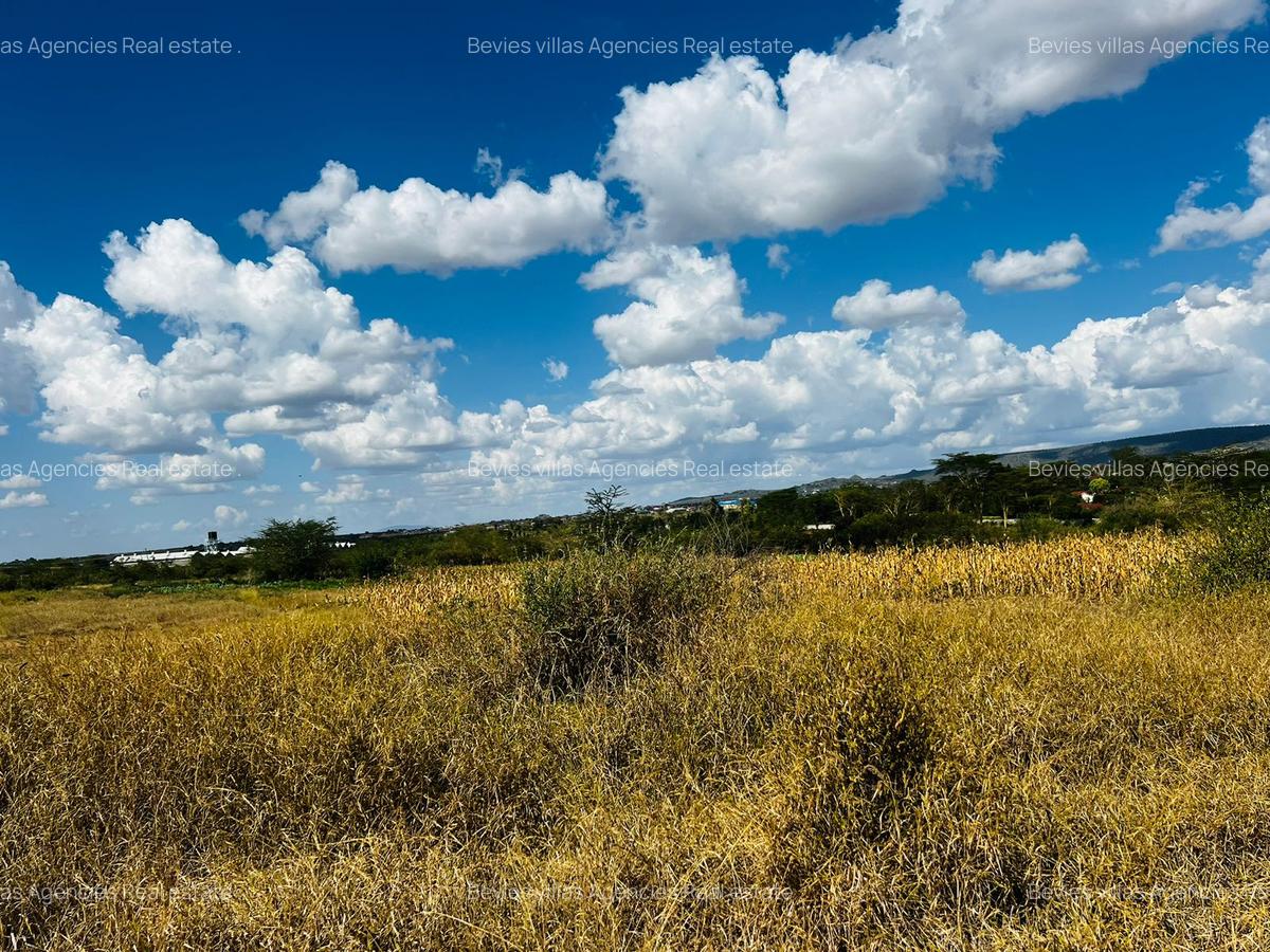 Commercial Land at Athi River - 2