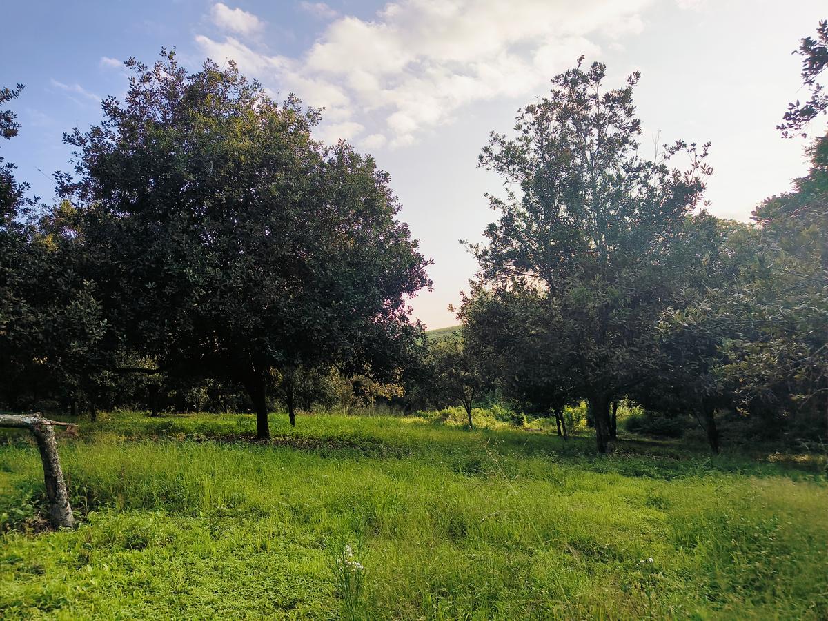 0.125 ac Residential Land at Juja - Gatundu Road - 7