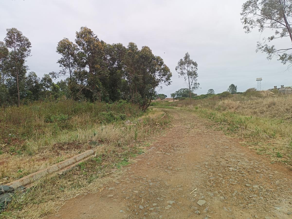 0.25 ac Land at Thika Greens Golf Estate - 12