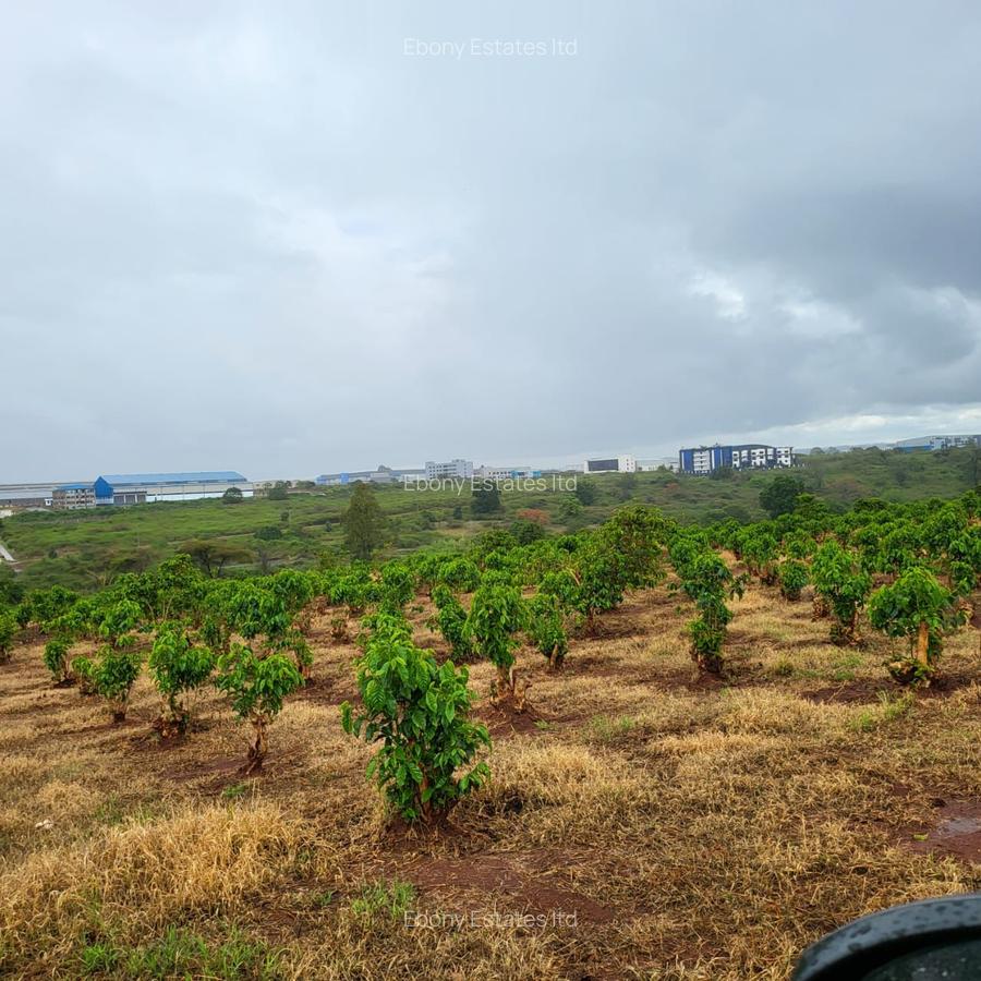 35 ac Land in Tatu City - 1