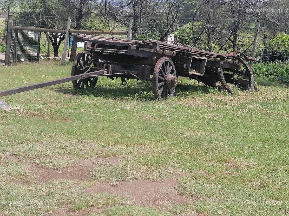 Commercial Land in Naivasha - 4