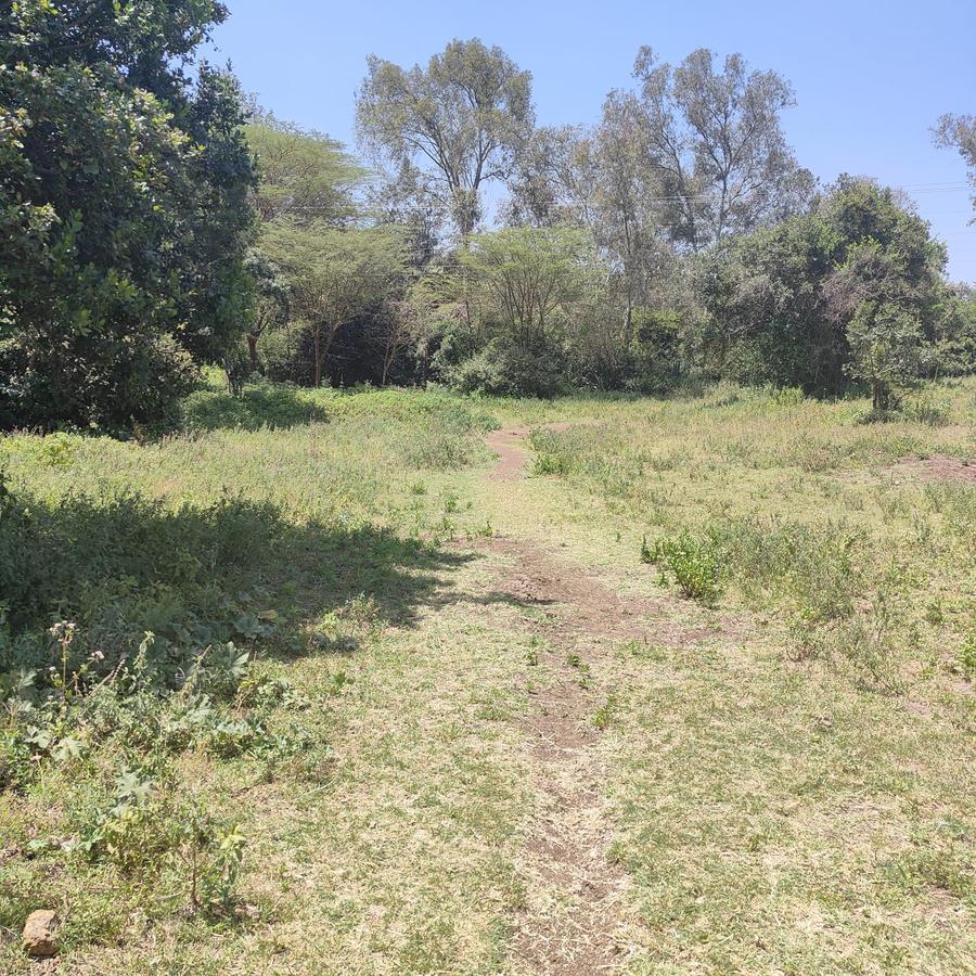 1 ac Land at Ndovu Road - 2