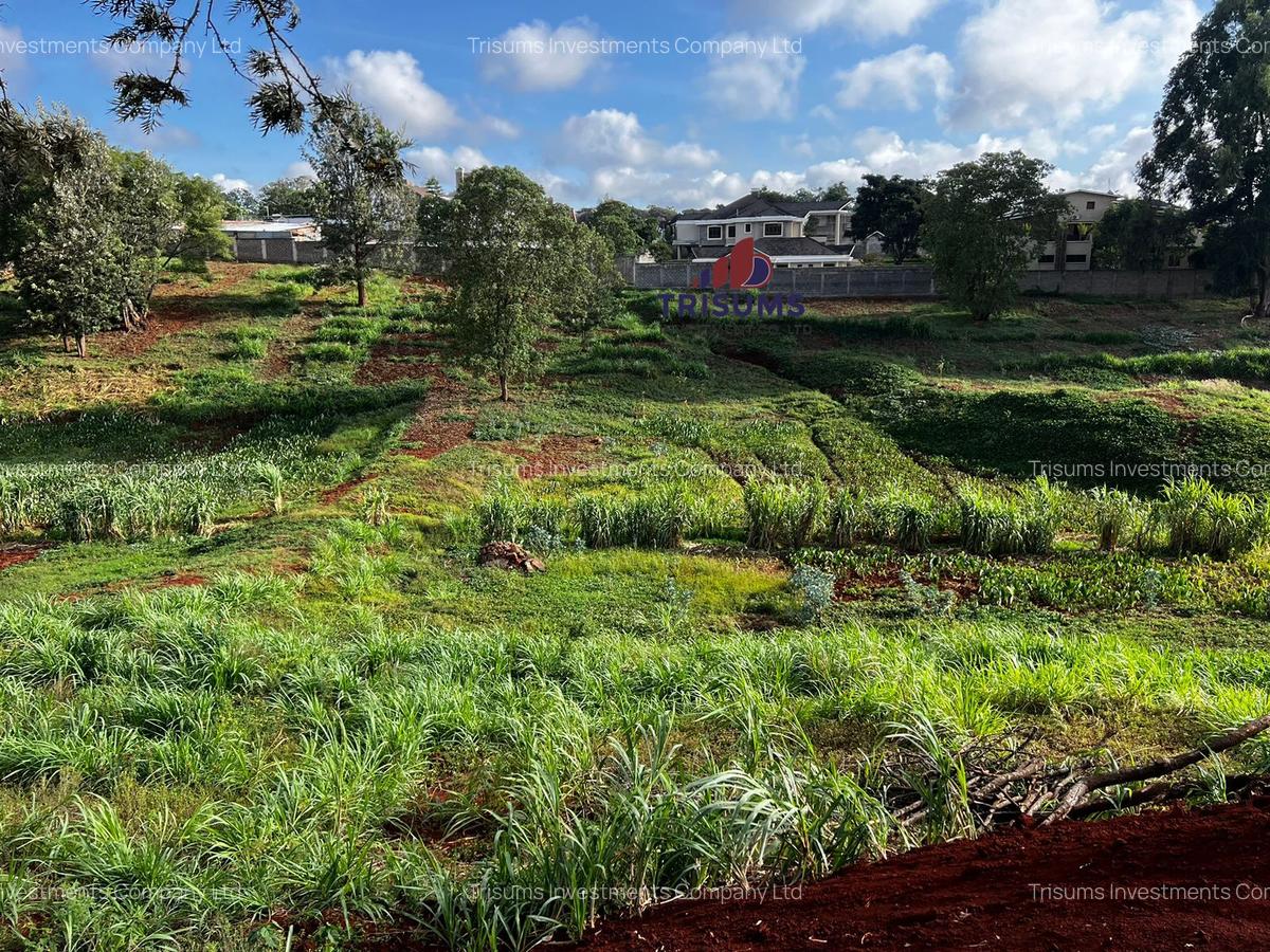 1 ac Land at Westland - 7
