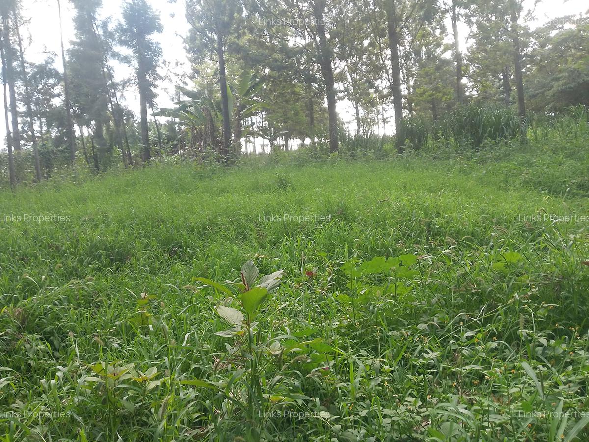 Land at Kibiko Ngong - 11